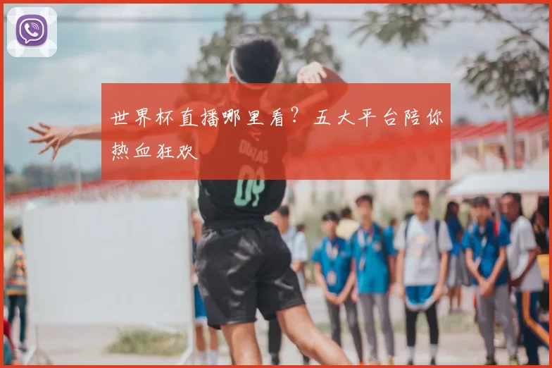 世界杯直播哪里看?五大平台陪你热血狂欢