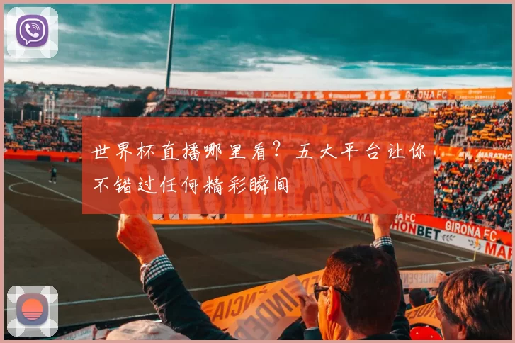 世界杯直播哪里看?五大平台让你不错过任何精彩瞬间