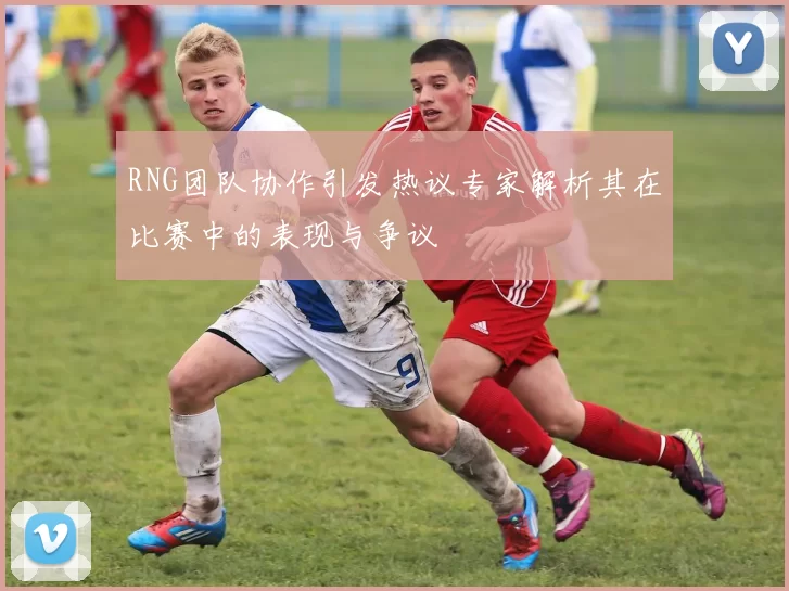 RNG团队协作引发热议专家解析其在比赛中的表现与争议