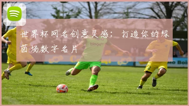 世界杯网名创意灵感:打造你的绿茵场数字名片