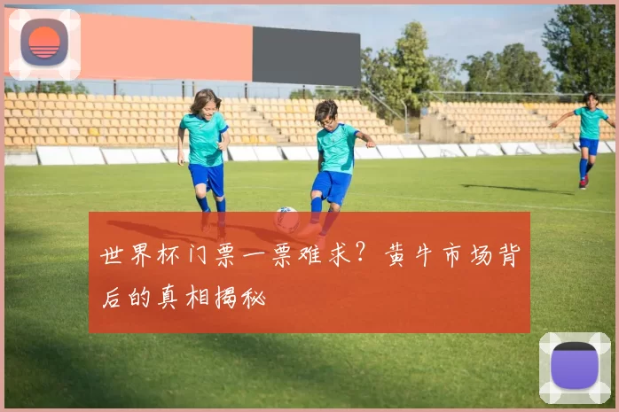 世界杯门票一票难求？黄牛市场背后的真相揭秘