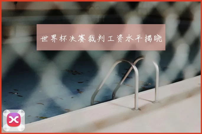 世界杯决赛裁判工资水平揭晓