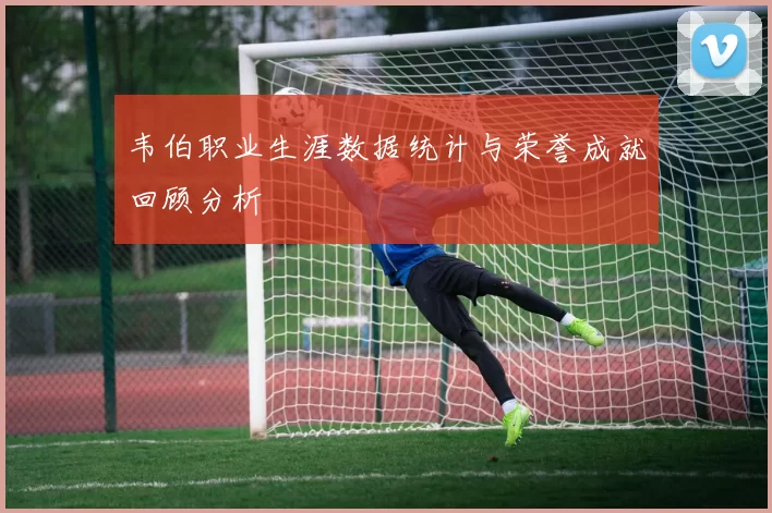 韦伯职业生涯数据统计与荣誉成就回顾分析