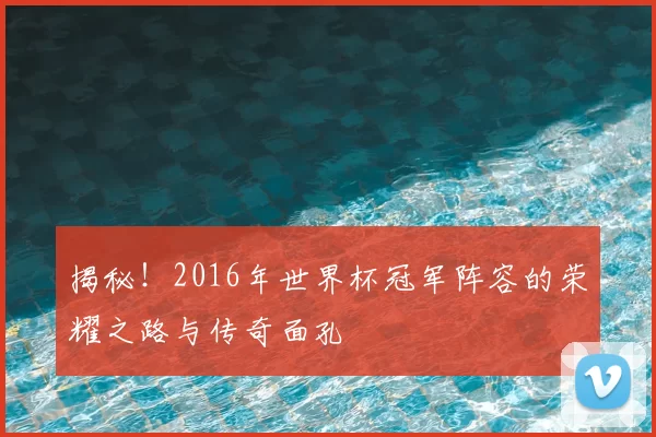 揭秘!2016年世界杯冠军阵容的荣耀之路与传奇面孔