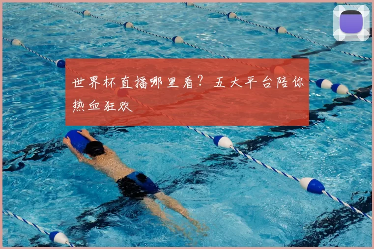 世界杯直播哪里看?五大平台陪你热血狂欢