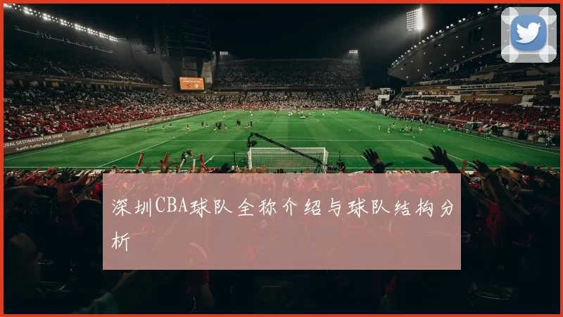 深圳CBA球队全称介绍与球队结构分析