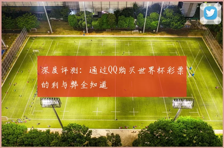 深度评测:通过QQ购买世界杯彩票的利与弊全知道