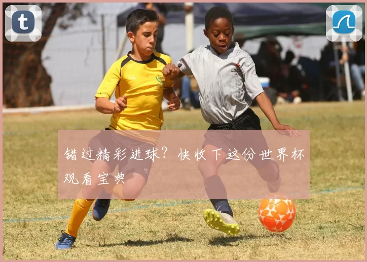 错过精彩进球?快收下这份世界杯观看宝典