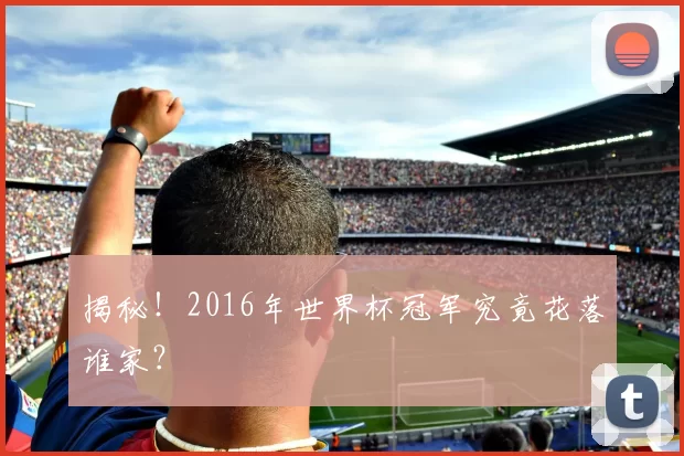 揭秘！2016年世界杯冠军究竟花落谁家？