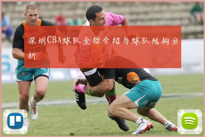 深圳CBA球队全称介绍与球队结构分析