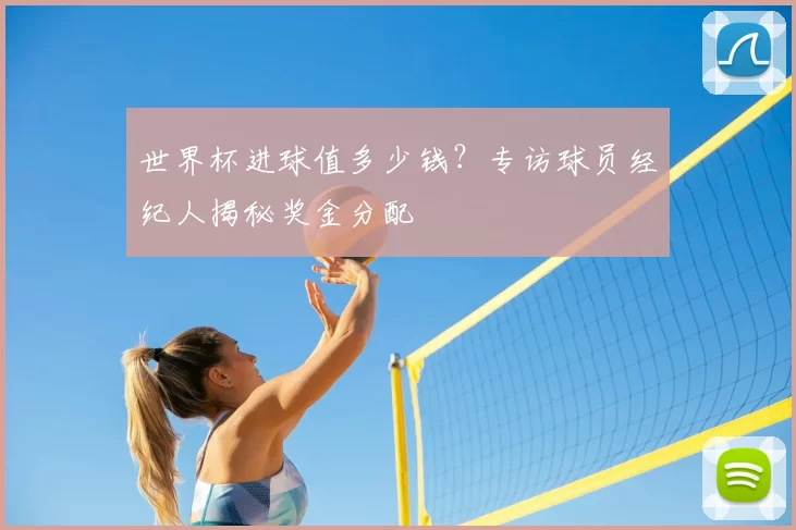 世界杯进球值多少钱？专访球员经纪人揭秘奖金分配