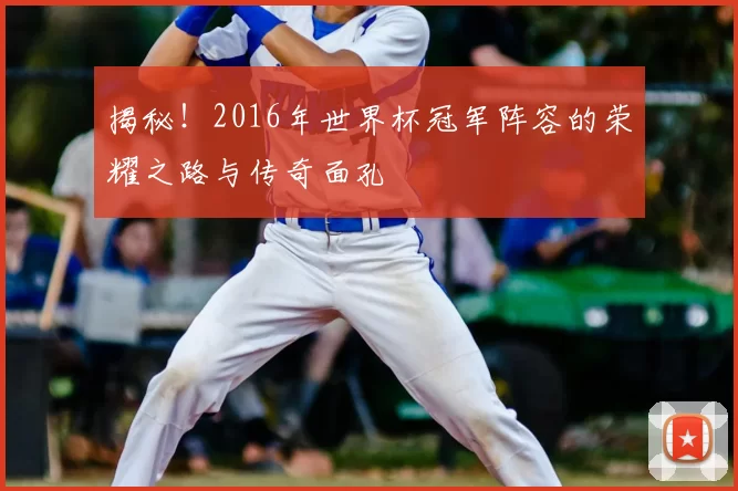 揭秘！2016年世界杯冠军阵容的荣耀之路与传奇面孔