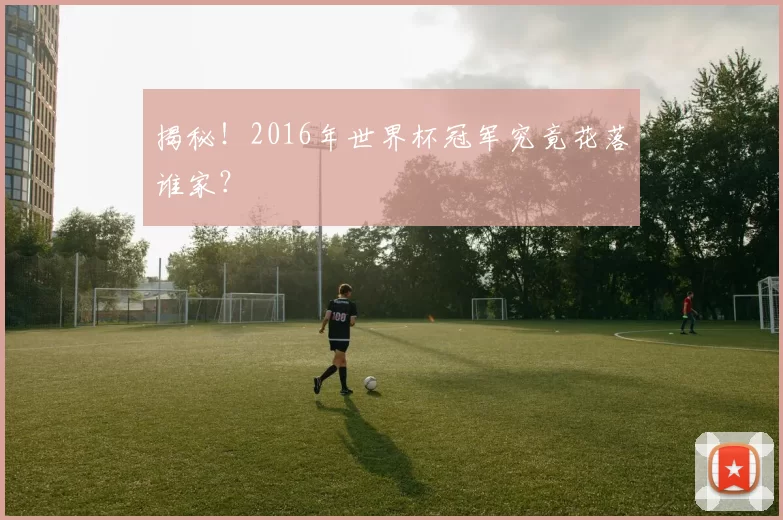 揭秘!2016年世界杯冠军究竟花落谁家?