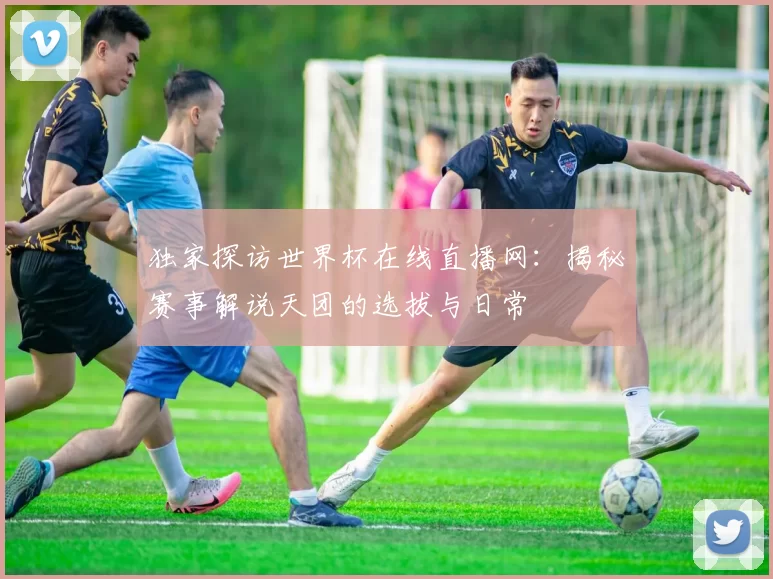 独家探访世界杯在线直播网:揭秘赛事解说天团的选拔与日常
