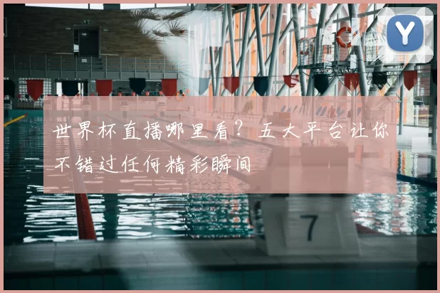 世界杯直播哪里看?五大平台让你不错过任何精彩瞬间