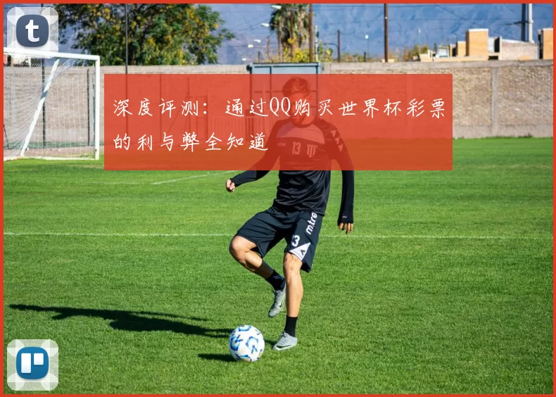 深度评测:通过QQ购买世界杯彩票的利与弊全知道