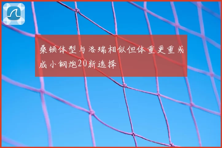 桑顿体型与洛瑞相似但体重更重或成小钢炮20新选择