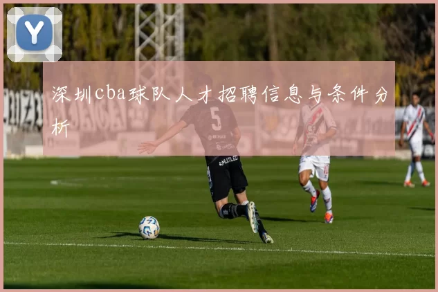 深圳cba球队人才招聘信息与条件分析