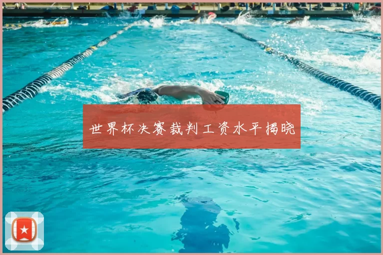 世界杯决赛裁判工资水平揭晓